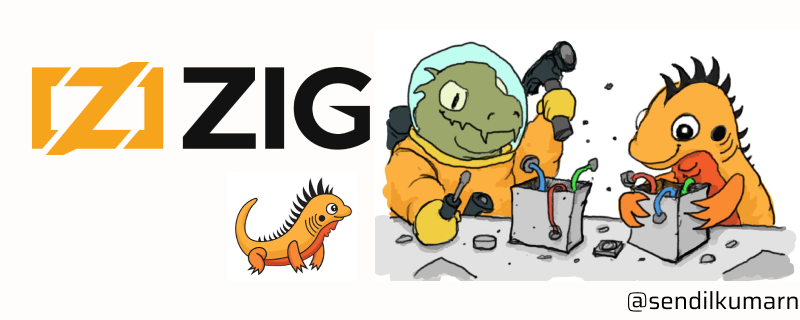 My views on Zig (2022)
